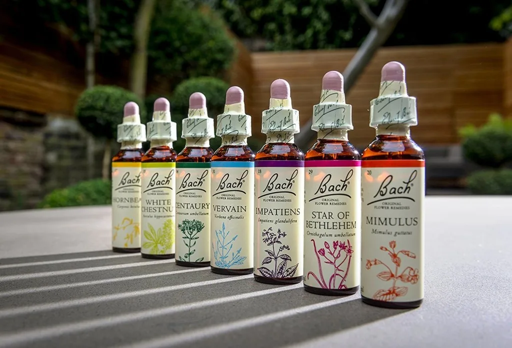 Florais de Bach Nível 1