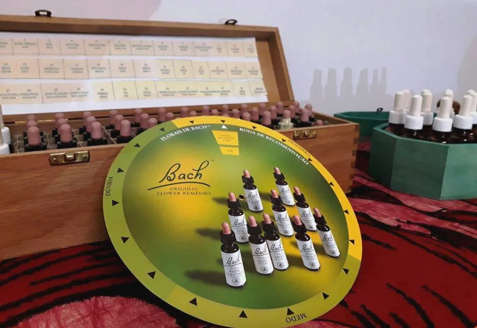 Florais de Bach Nível 2