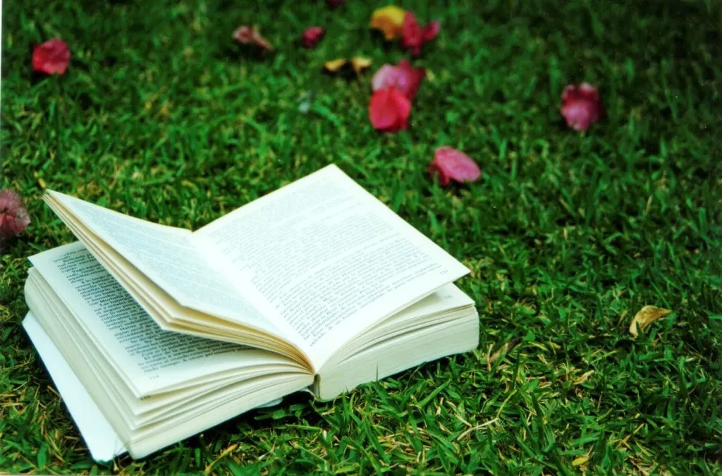 Módulo 4 - Casos Clínicos / Sugestões Terapêuticas