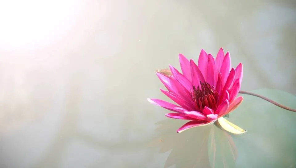 Reiki Karuna Nível 1